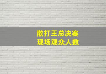 散打王总决赛 现场观众人数